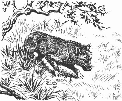 Дмитрий Харламов - Сказание о верном друге