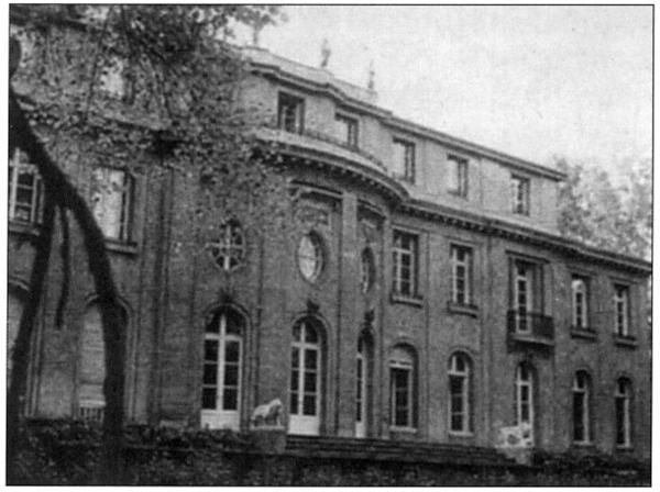 Константин Залесский - СС. Охранные отряды НСДАП