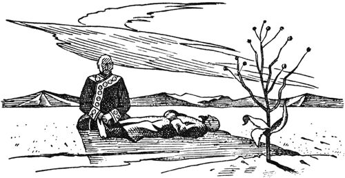 Курт Давид - Черный Волк. Тенгери, сын Черного Волка