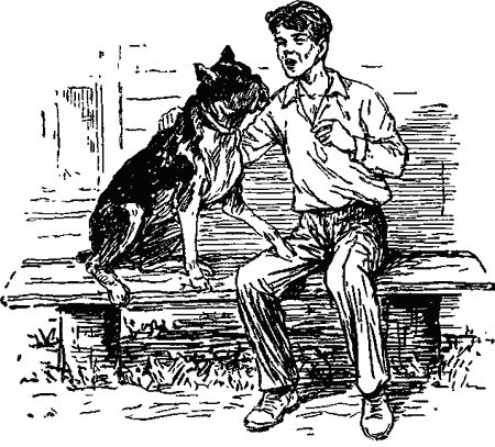 Анастасия Перфильева - Пять моих собак