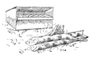 Сергей Обручев - Справочник путешественника и краеведа