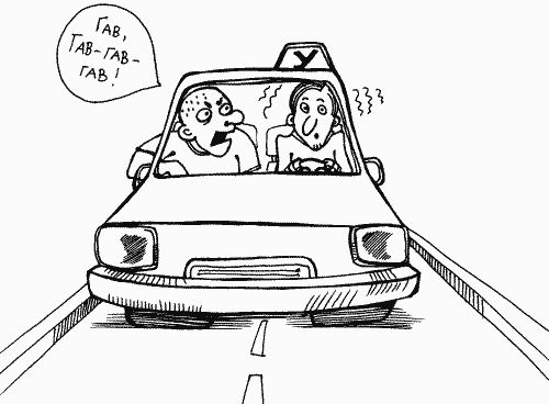 Георгий Бранихин - Уловки и хитрости дорожно-постовой службы