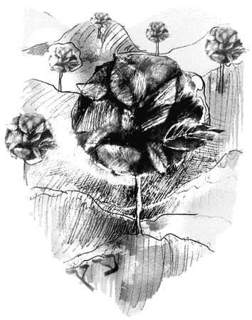 Эстер Сегаль - Переселение душ