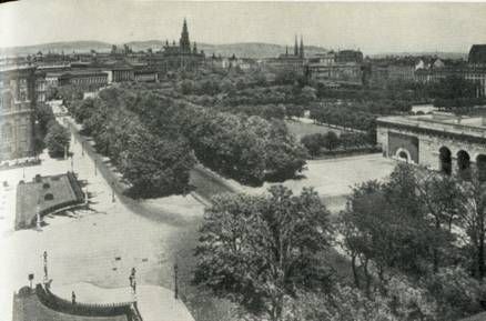 Марина Сененко - Вена