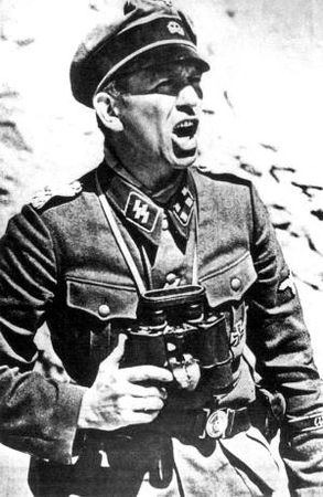 Константин Залесский - СС. Охранные отряды НСДАП