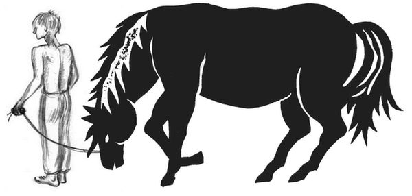 Ирина Краева - Баба Яга пишет (сборник)