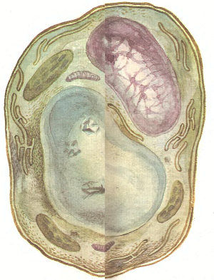 Ирина Яковлева, Владимир Яковлев - По следам минувшего