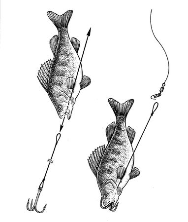 Александр Пышков, Сергей Смирнов - Справочник рыболова