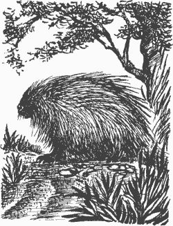 Дмитрий Харламов - Сказание о верном друге