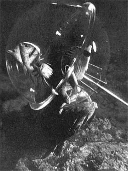 Жак-Ив Кусто, Филипп Диоле - Жизнь и смерть кораллов