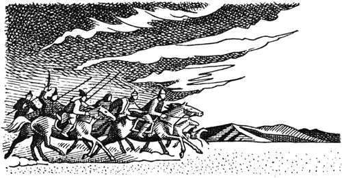 Курт Давид - Черный Волк. Тенгери, сын Черного Волка