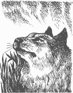 Дмитрий Харламов - Сказание о верном друге