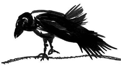 Ирина Краева - Баба Яга пишет (сборник)