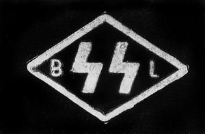 Константин Залесский - СС. Охранные отряды НСДАП