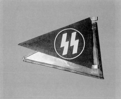 Константин Залесский - СС. Охранные отряды НСДАП