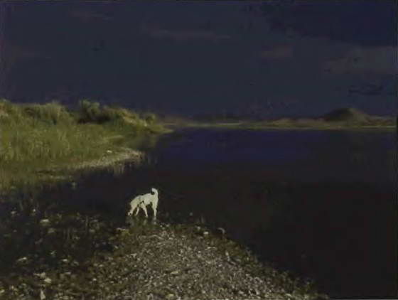 Павел Мариковский - В стране каменных курганов и наскальных рисунков