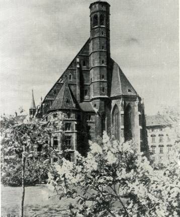 Марина Сененко - Вена