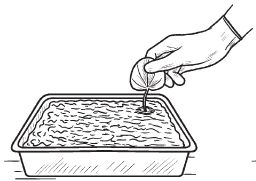 Галина Серикова - Комнатные деревья и кустарники: лимон, вишня, гранат,...