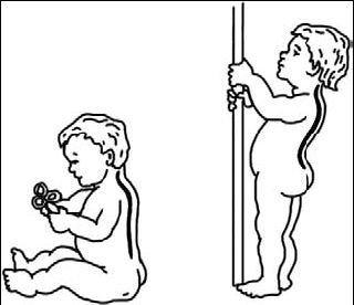 Виктор Ченцов - Первая скрипка позвоночника