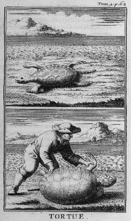 Виктор Губарев - Экспедиция сэра Фрэнсиса Дрейка в Вест-Индию в 1585-1586 годах