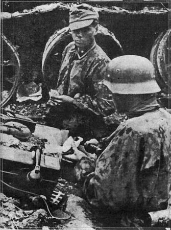 Константин Залесский - СС. Охранные отряды НСДАП