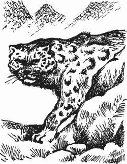 Дмитрий Харламов - Сказание о верном друге