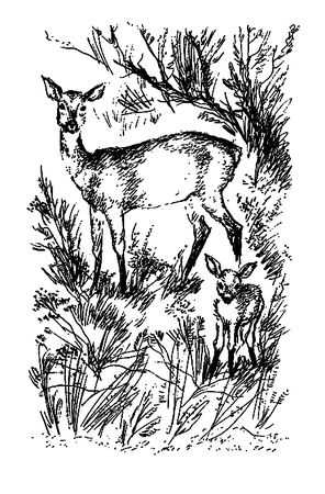 Семен Каратов, Сергей Писарев - Земля мамонтов