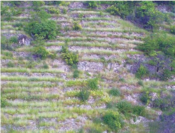 Амри Шихсаидов - Дагестанские святыни. Книга третья