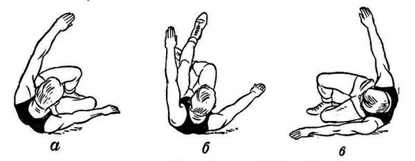 Анатолий Харлампиев - БОРЬБА САМБО