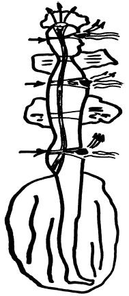 Дмитрий Невский - Активные магические воздействия. Уроки мастера. Техники и...