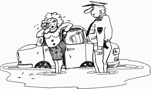 Георгий Бранихин - Уловки и хитрости дорожно-постовой службы