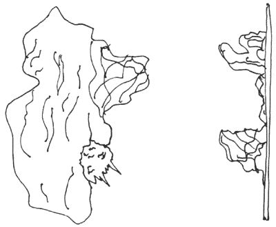 Дмитрий Невский - Магия свечей. Обряды очищения и защиты