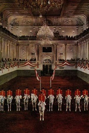 Марина Сененко - Вена