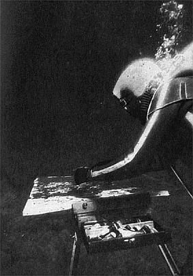 Жак-Ив Кусто, Филипп Диоле - Жизнь и смерть кораллов