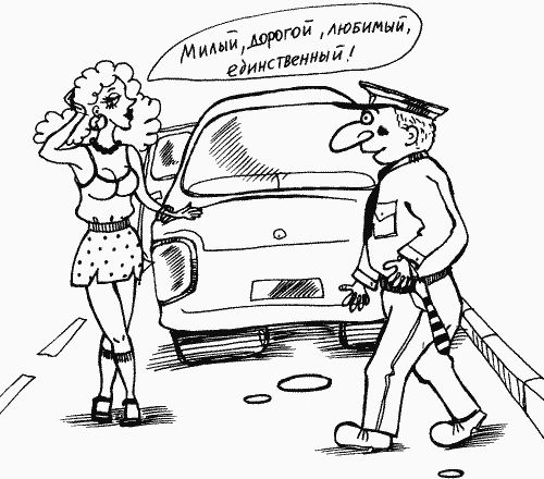 Георгий Бранихин - Уловки и хитрости дорожно-постовой службы