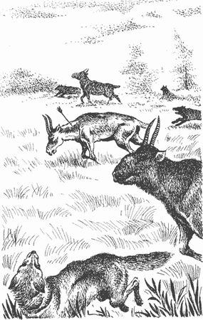 Дмитрий Харламов - Сказание о верном друге