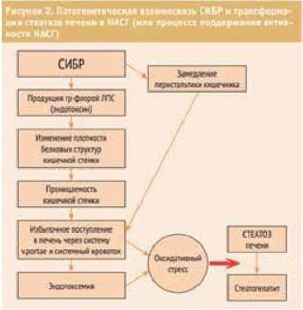 Владимир Мартынов, Коллектив авторов - СИБР (хирургическое лечение и профилактика)