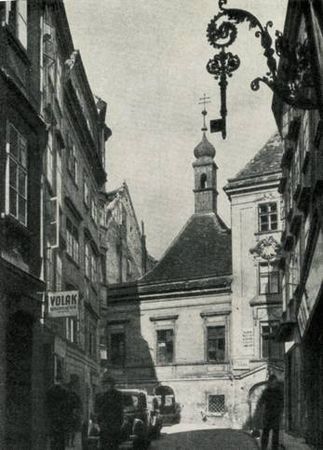 Марина Сененко - Вена