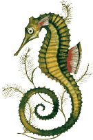 Василий Жуковский - Баллады