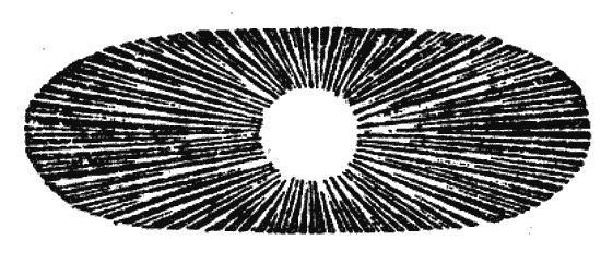 Константин Федин - Старик