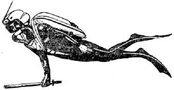 Жак-Ив Кусто, Филипп Диоле - Жизнь и смерть кораллов