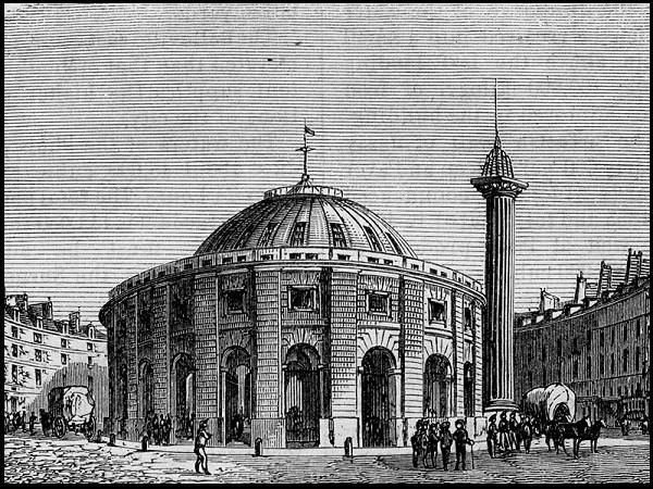 Саша Суздаль - Мушкетёр Её Высочества