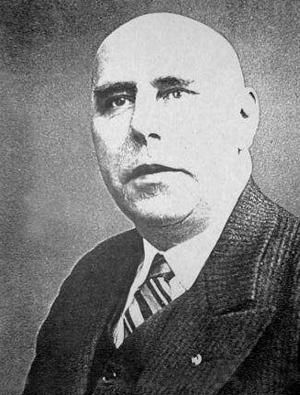 Константин Залесский - СС. Охранные отряды НСДАП