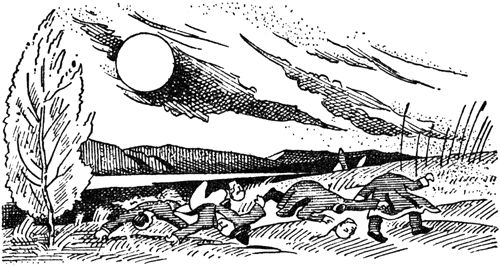 Курт Давид - Черный Волк. Тенгери, сын Черного Волка