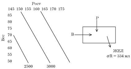 Эдуард Сакун - Построение учебного процесса по физическому воспитанию студентов...