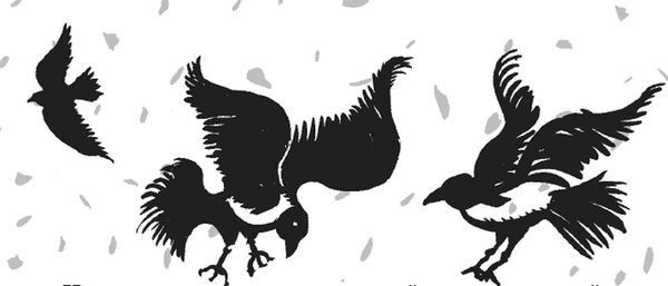 Ирина Краева - Баба Яга пишет (сборник)