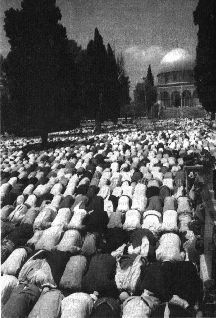 Михаил Каценельсон - Прогулки по Иерусалиму