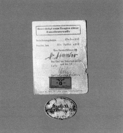 Константин Залесский - СС. Охранные отряды НСДАП