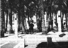 Михаил Каценельсон - Прогулки по Иерусалиму