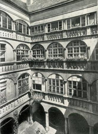 Марина Сененко - Вена